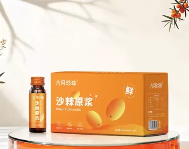 沙棘原浆500毫升盒装