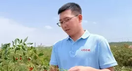 吴忠日报|刘朋鑫：返乡创业点亮枸杞红