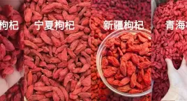 315特辑 | 教你一眼认出正宗宁夏枸杞！