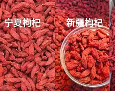 315特辑 | 教你一眼认出正宗宁夏枸杞！